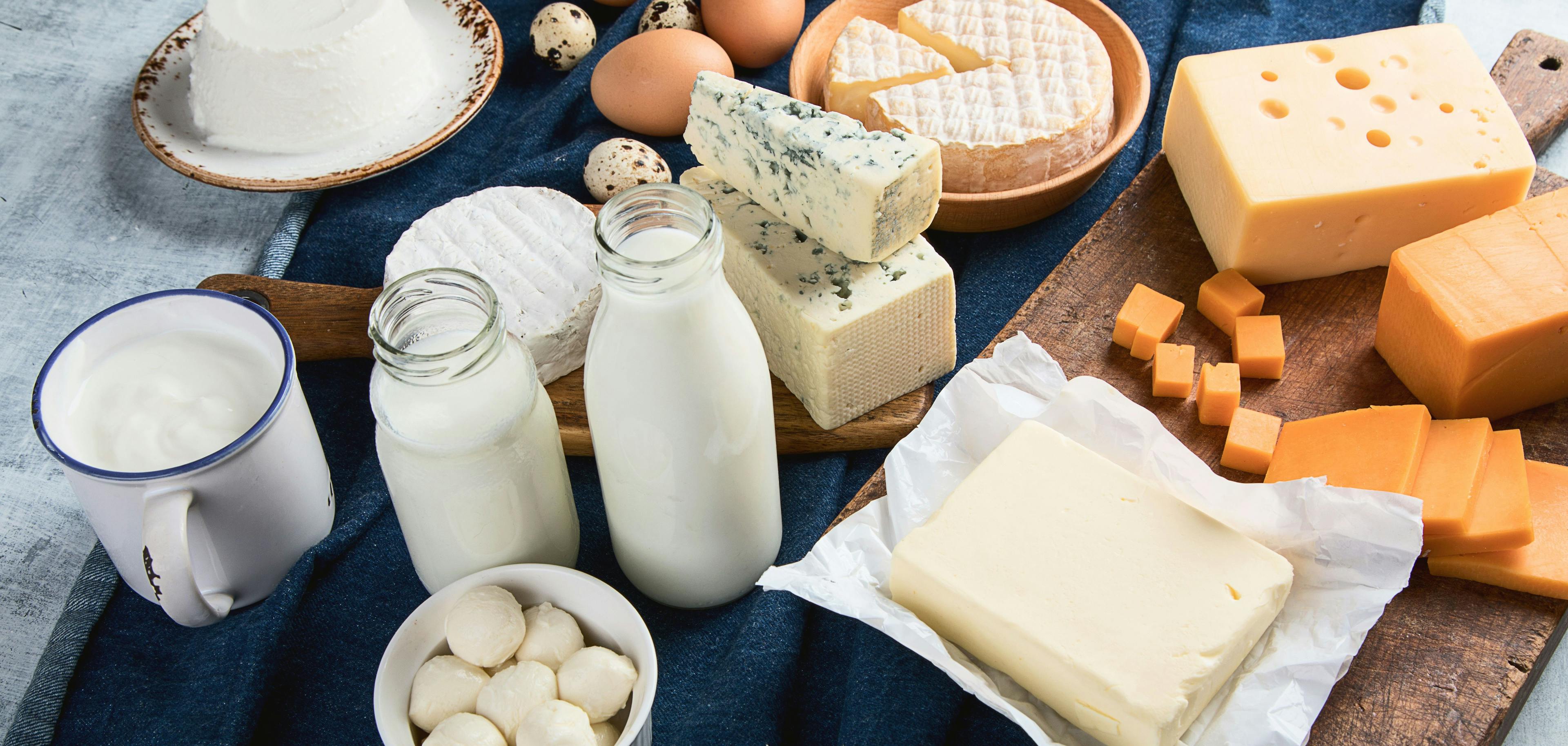 Different types of dairy products | Image Credit: © bit24 - stock.adobe.com.