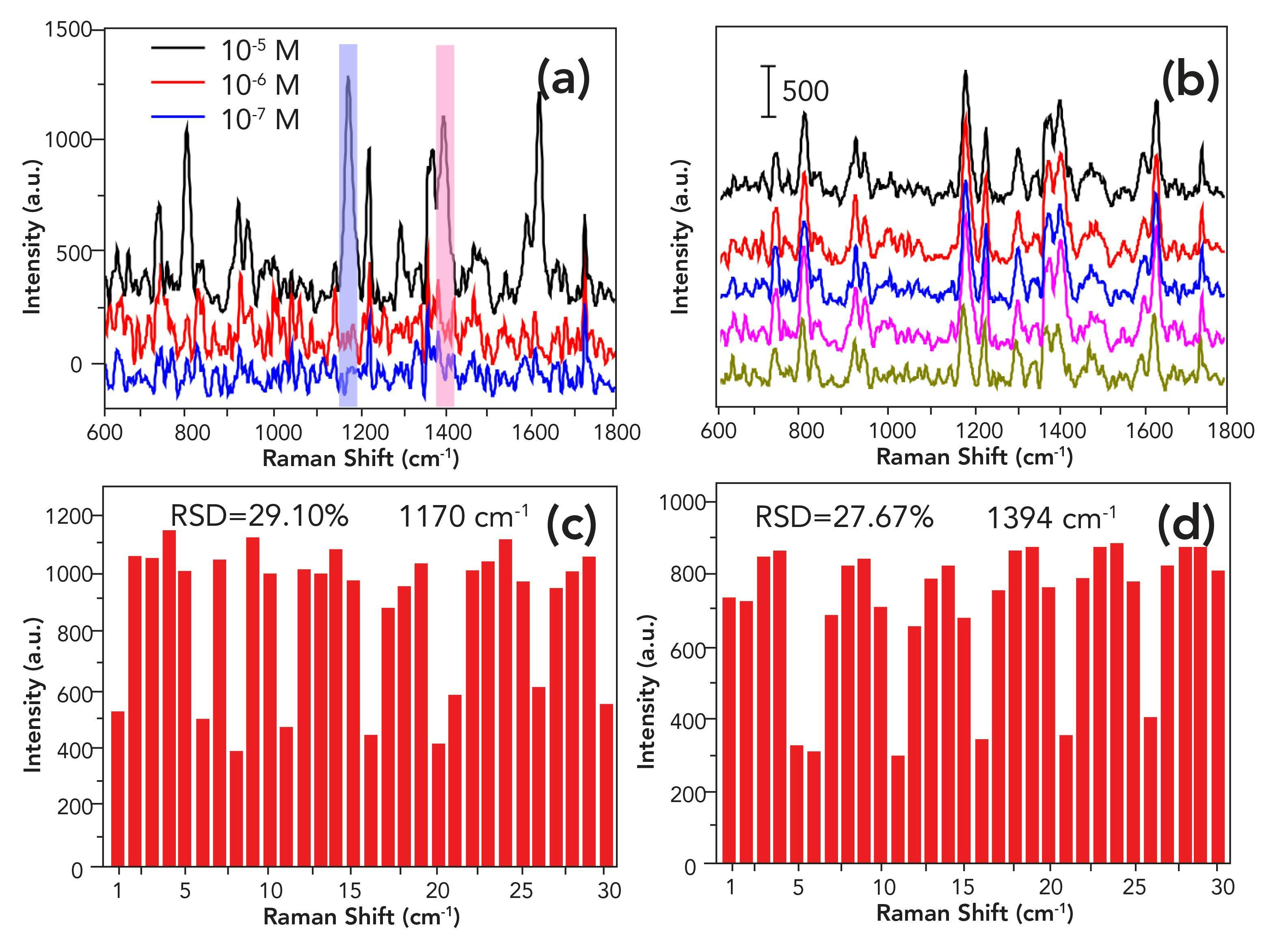 FIGURE S3: Detection of MG standard solution using E3 gold nanoparticles as a substrate.(a) SERS spectra of different MG concentrations. (b) SERS spectra of 10−5 M for MG from five independent SERS measurements. (c) and (d) show the intensities of MG solution (at 10−5 M) in the 30 spots SERS line-scan spectra collected on the substrate at 1170 cm-1, and 1394 cm-1, respectively.
