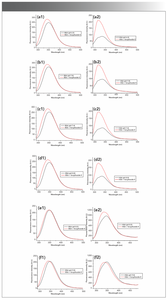 FIGURE S4: Effects of forsythoside E on the intrinsic fluorescence of BSA and HSA in different pH environments. The increases of protein fluorescence induced by forsythoside E were almost the same in slightly acidic and neutral solutions, whereas the protein fluorescence intensities in alkaline solution barely changed after adding forsythoside E. (a1–f1): BSA; (a2–f2): HSA.