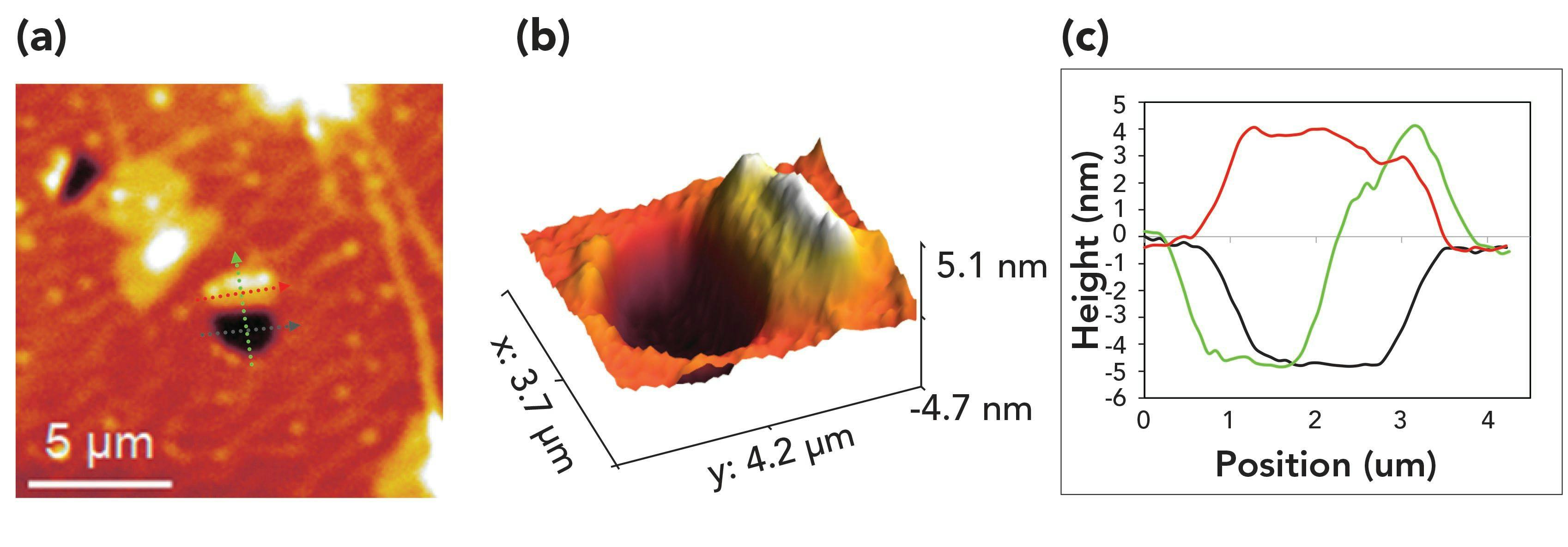 Figure 2: 2D (a) and 3D (b) phase shifting interferometry images and profiles of folded graphene (c).