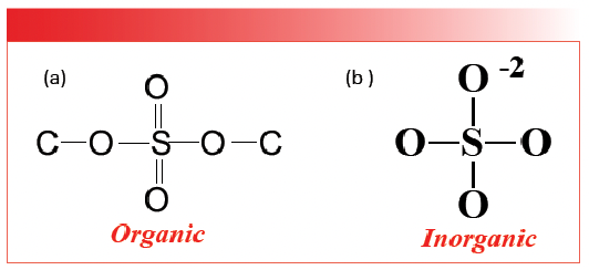 FIGURE 3: The chemical structures of (a) organic and (b) inorganic sulfates.