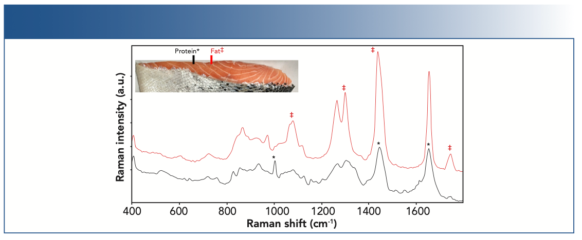FIGURE 3: Raman spectra showing main protein (black) and fat (red) related bands for fresh salmon. Contributions from fats (‡) and protein amino acids (*) are shown.