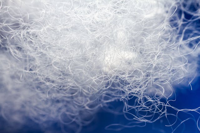 Extreme macro of polyester stable fiber on blue background | Image Credit: © Taigi - stock.adobe.com