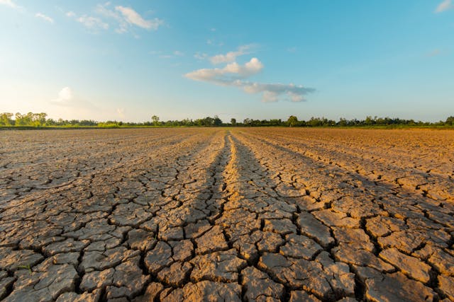 The land is dry and parched because of global warming. | Image Credit: © neenawat555 - stock.adobe.com.