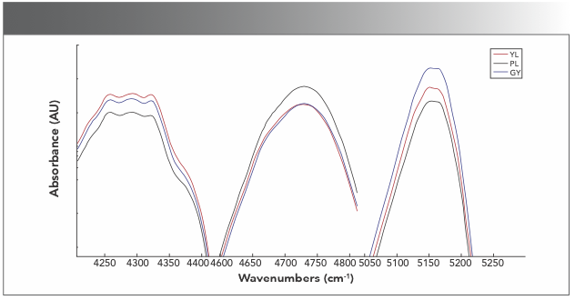 FIGURE 4: Display of segmented spectra.