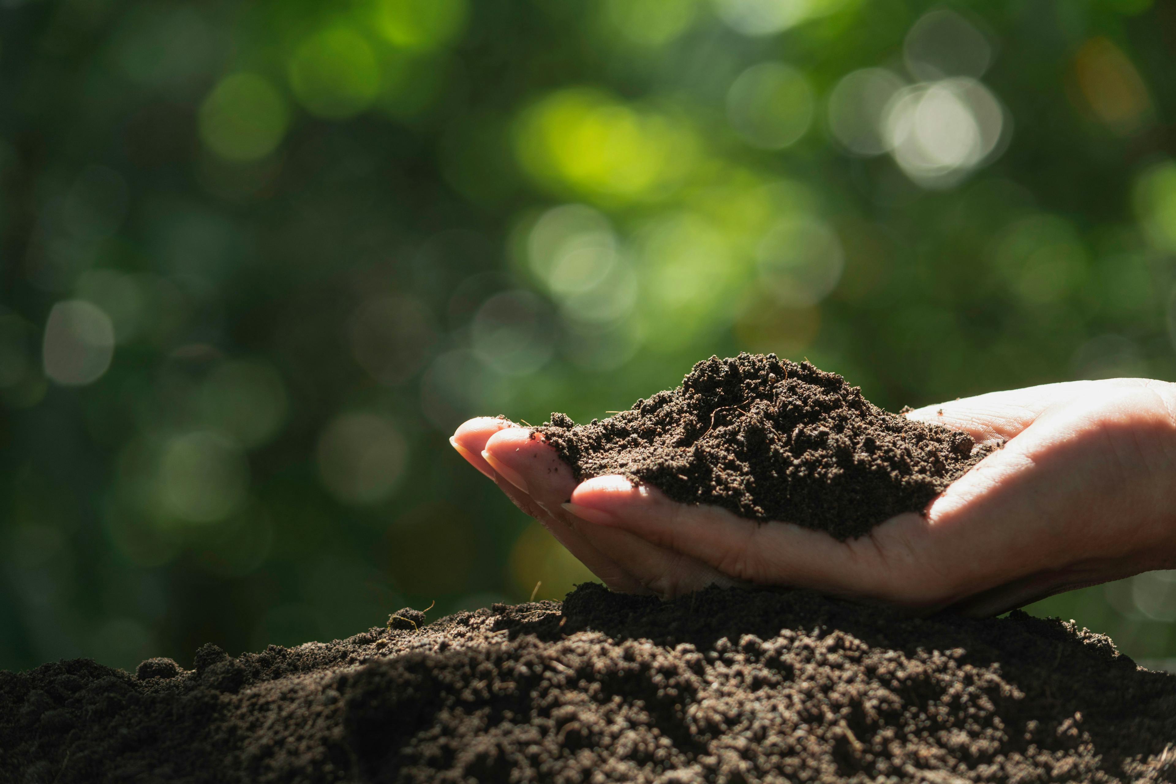 Hand of male holding soil in the hands for planting. | Image Credit: © krisana - stock.adobe.com