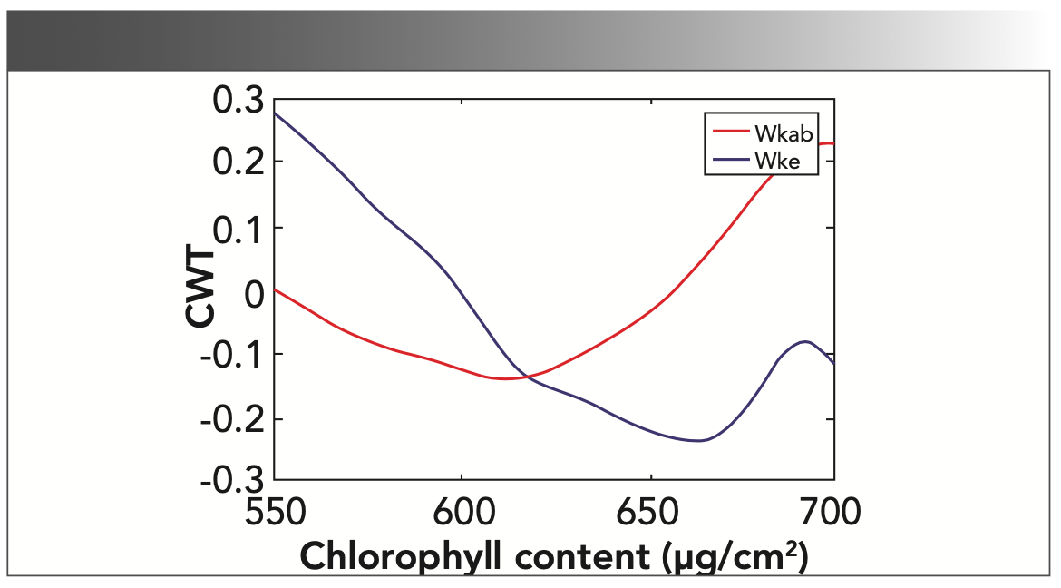 FIGURE 2: The CWT curve Wkab (the blue line) and WKe (the red line) with spectrum scale a = 150 nm using wavelet function “bior1.1”.