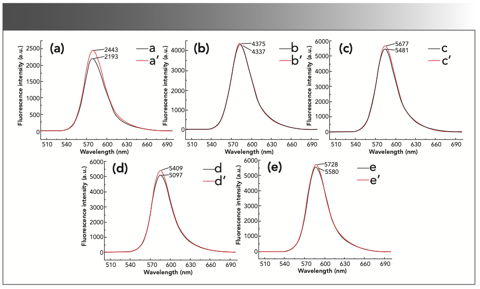 FIGURE 6: The fluorescence intensity of the reaction system in a rhodamine B solution with different volumes. (a) a’: 0.10 mL 1.00 × 10-3 mol/L rhodamine B + 2.5 mL sulfuric acid solution + 5 mL 0.10 mol/L potassium bromate solution; a: a’ + 2.00 mL formaldehyde standard solution. (b) b’: 0.30 mL 1.00 × 10-3 mol/L rhodamine B + 2.5 mL sulfuric acid solution + 5 mL 0.10 mol/L potassium bromate solution; b: b’ + 2.00 mL formaldehyde standard solution. (c) c’: 0.50 mL 1.00 × 10-3 mol/L rhodamine B + 2.5 mL sulfuric acid solution + 5 mL 0.10 mol/L potassium bromate solution; c: c’ + 2.0 mL formaldehyde standard solution. (d) d’: 0.70 mL 1.00 × 10-3 mol/L rhodamine B + 2.5 mL sulfuric acid solution + 5 mL 0.10 mol/L potassium bromate solution; d: d’ + 2.00 mL formaldehyde standard solution. (e) e’: 0.90 mL 1.00 × 10-3 mol/L rhodamine B + 2.5 mL sulfuric acid solution + 5 mL 0.10 mol/L potassium bromate solution; e: e’ + 2.00 mL formaldehyde standard solution.