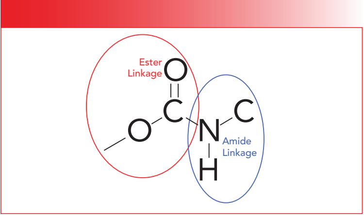 Figure 2: The molecular structure of the secondary urethane group. The red circle denotes an ester linkage, while the blue circle denotes an amide linkage.