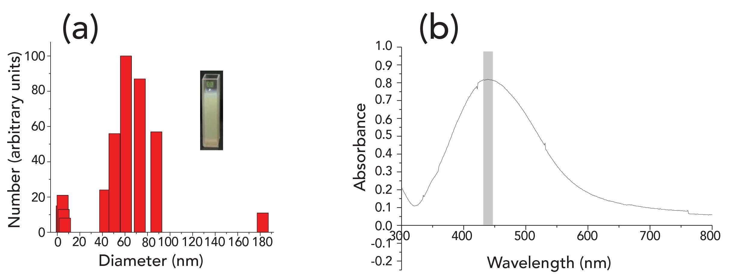 FIGURE 2: (a) Particle size distribution of silver sol; (b) UV-vis extinction spectra of silver sol.
