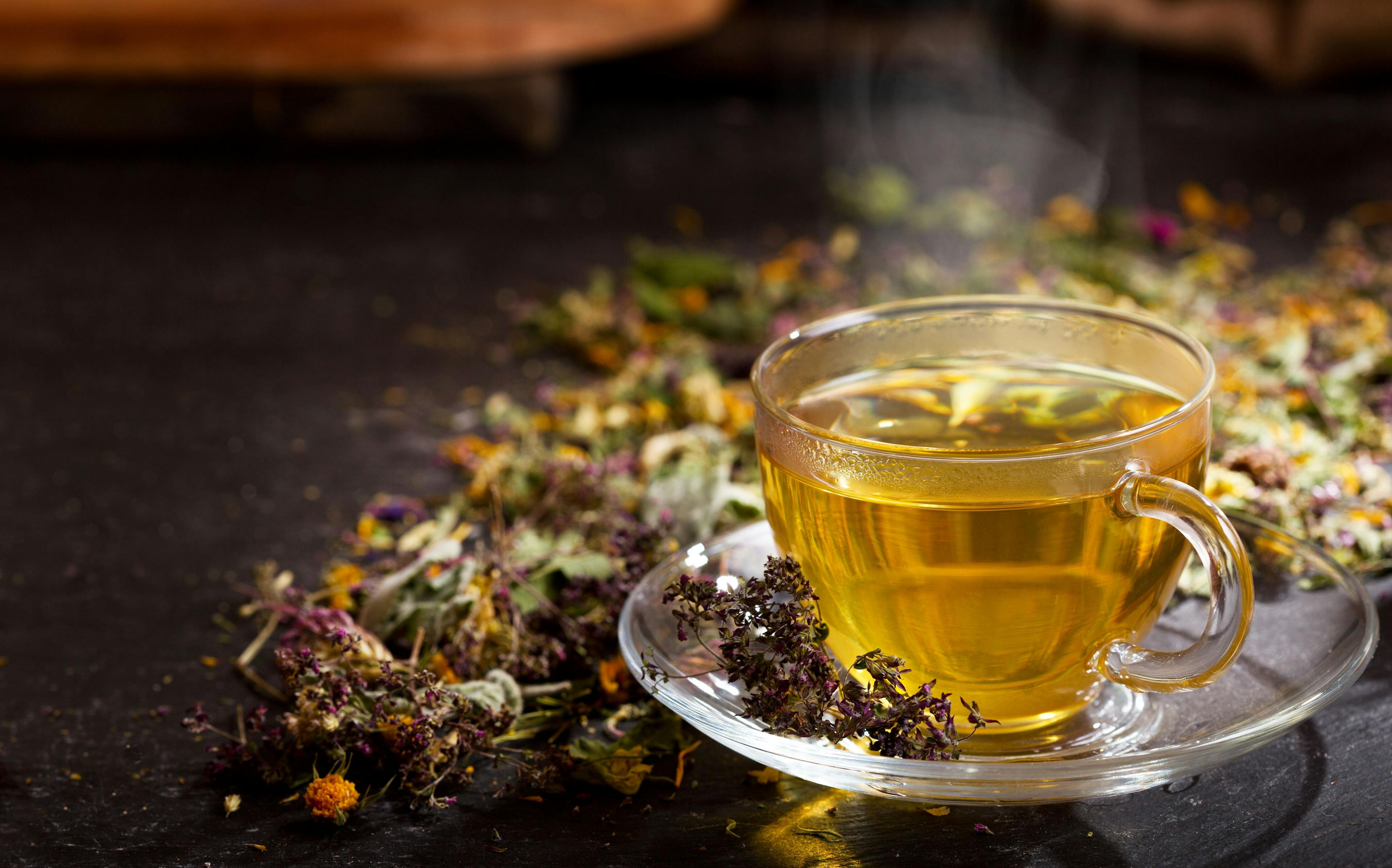 Cup of herbal tea with various herbs | Image Credit: © Nitr - stock.adobe.com