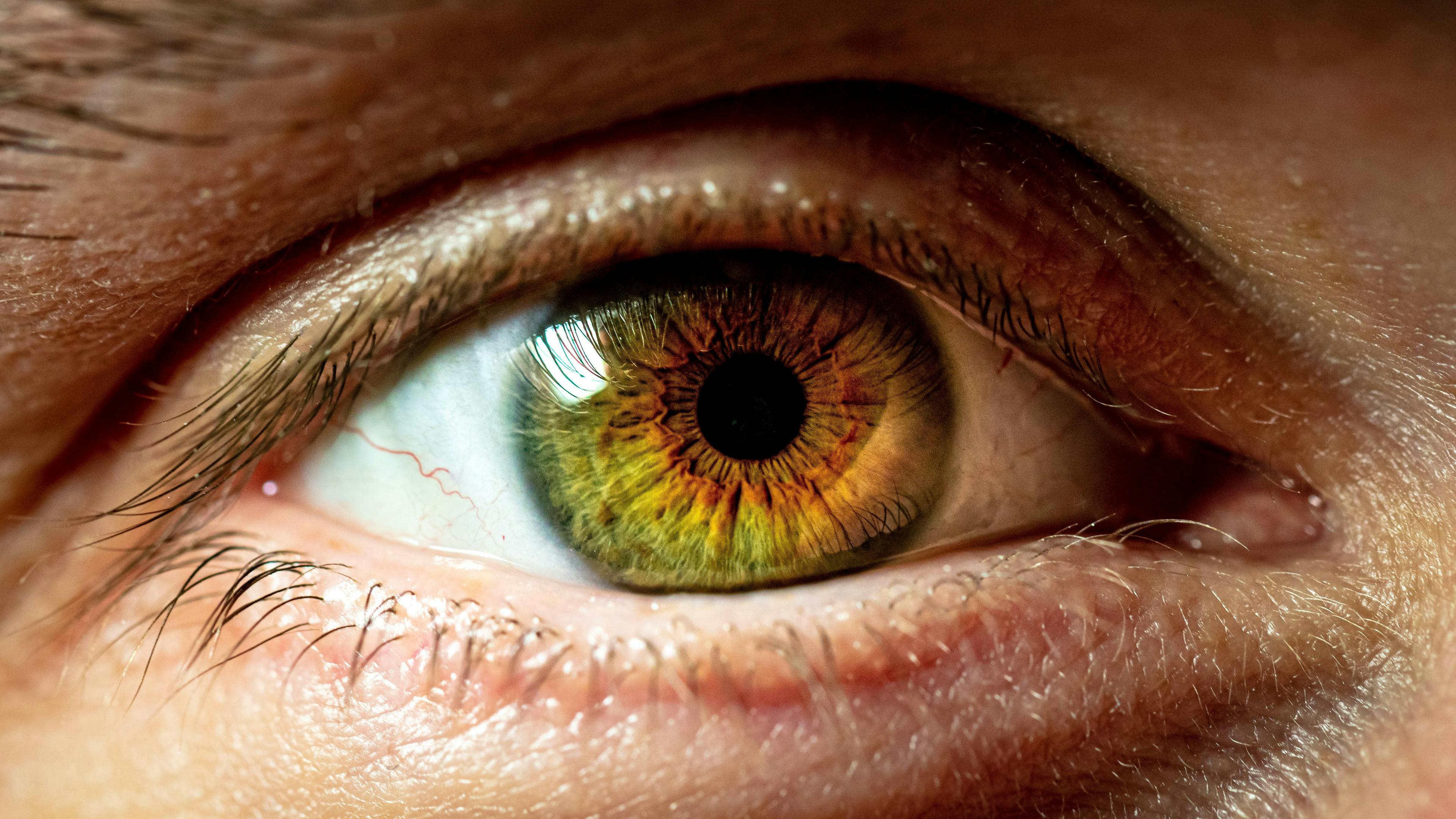 close up of human eye | Image Credit: © Herr Hesse - stock.adobe.com