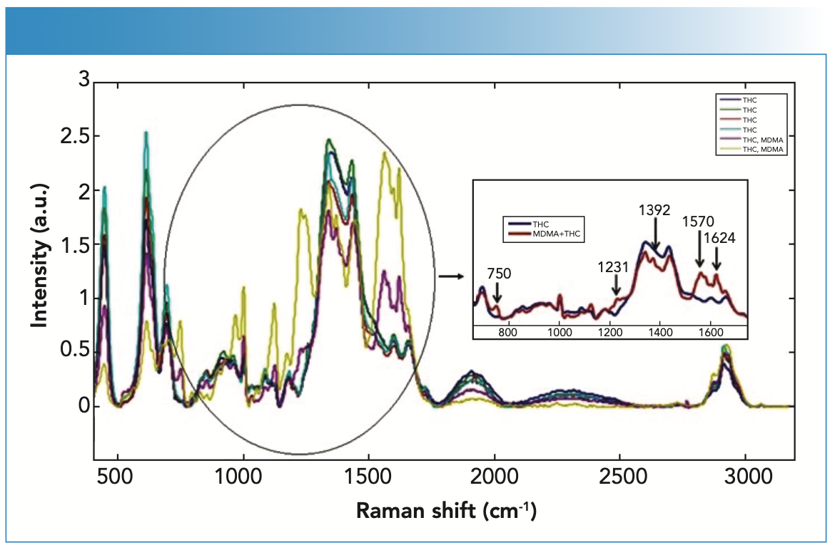 FIGURE 4: Raman spectra of the blood samples with THC and both THC and MDMA (different peaks observed in blood with MDMA are indicated by black arrows).