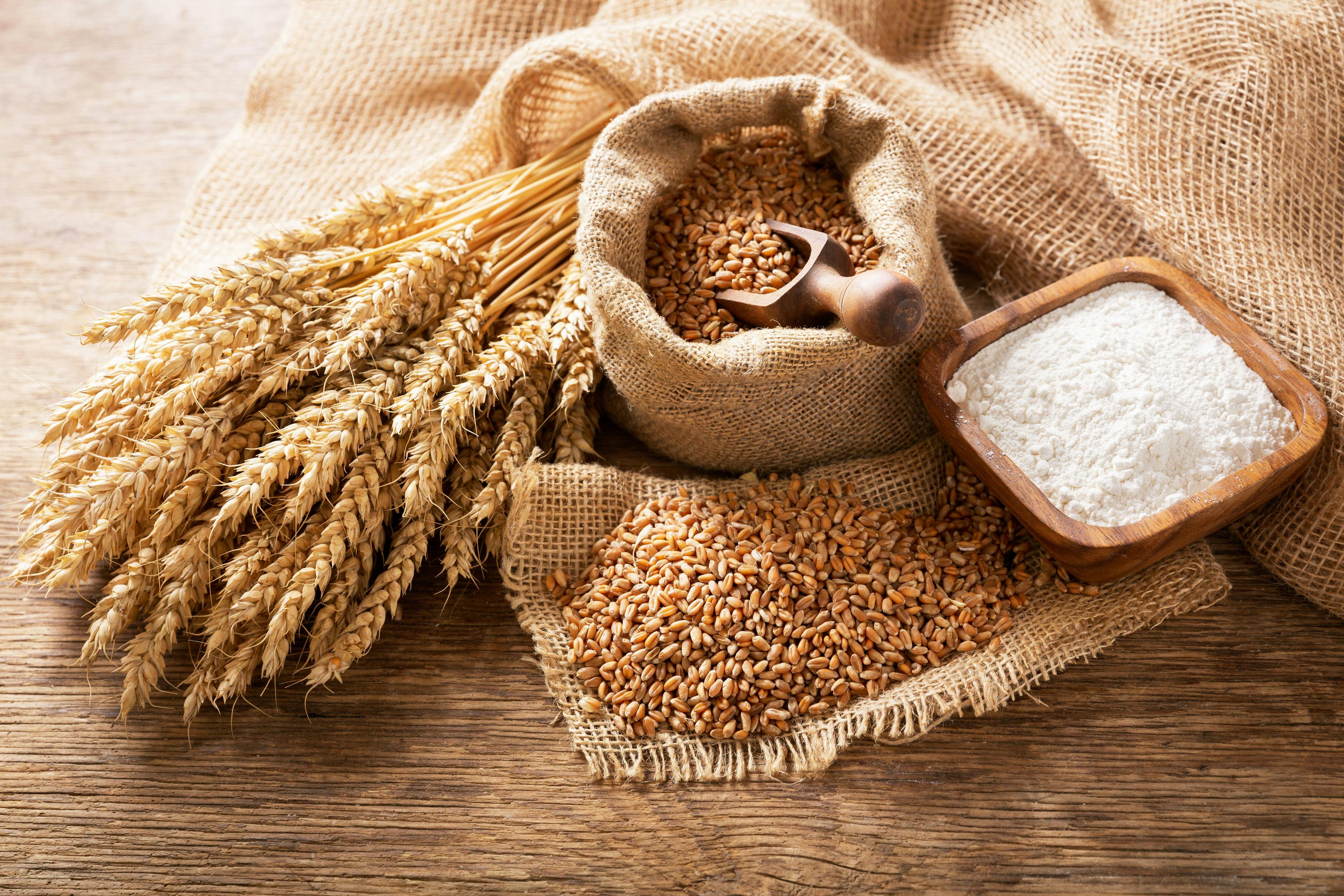 wheat ears, grains and bowl of flour on a wooden table | Image Credit: © Nitr - stock.adobe.com