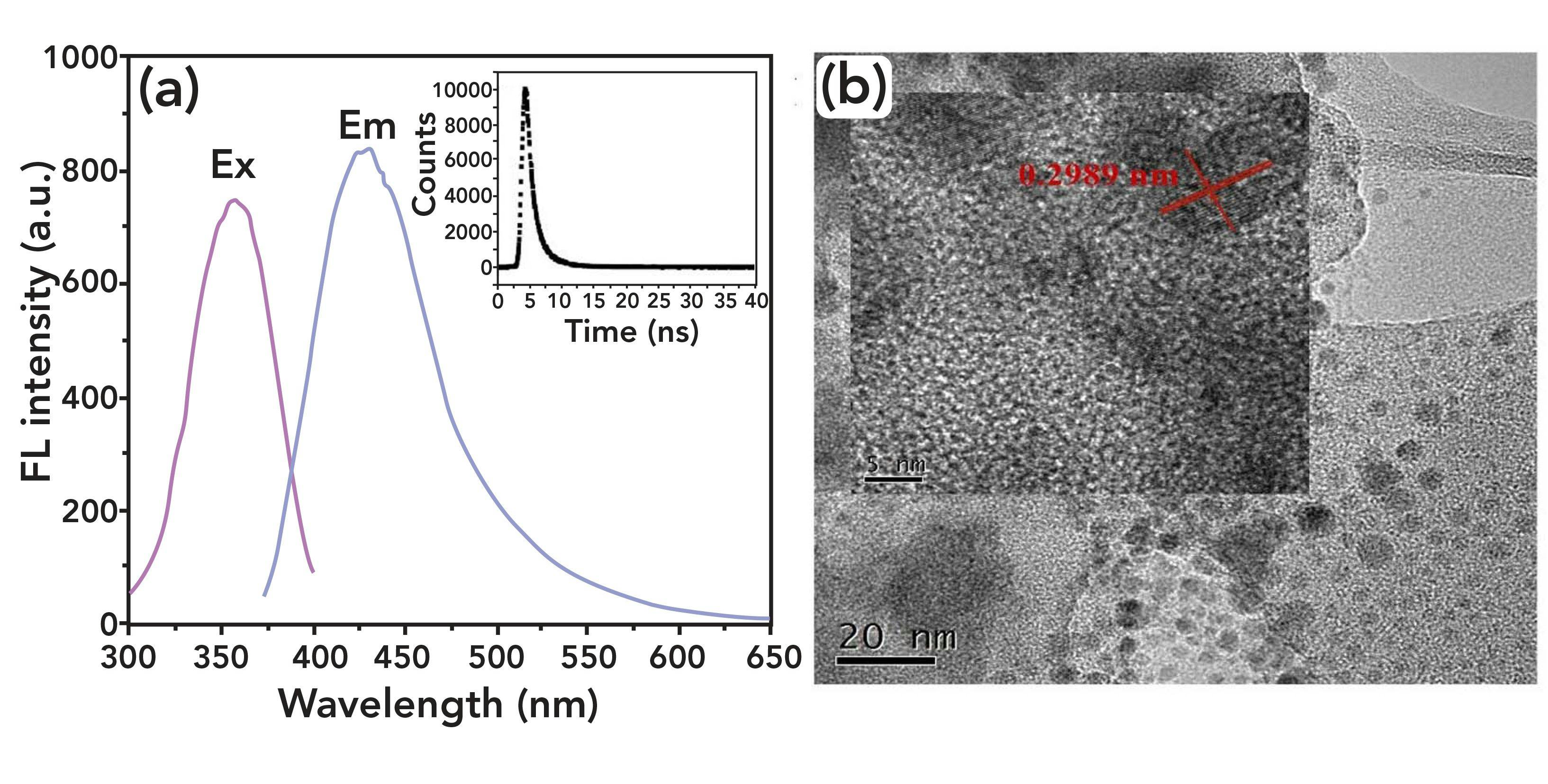 FIGURE 1: (a) Fluorescence excitation and emission spectra of TA-CuNCs; inset is the fluorescence lifetime of TA-CuNCs. (b) Photographs of TA-CuNCs in an aqueous solution under UV-vis light; inset is the transmission electron microscope (TEM) image of TA-CuNCs, showing single-magnified CuNCs.