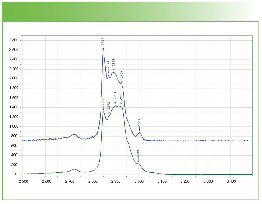 FIGURE 6: Raman spectra of olive oil (blue) and medium-chain triglycerides (green). The two spectra were scaled so that the intensity at 2900 cm-1 were equal. Abscissa is Raman shift (cm-1), and ordinate is intensity.