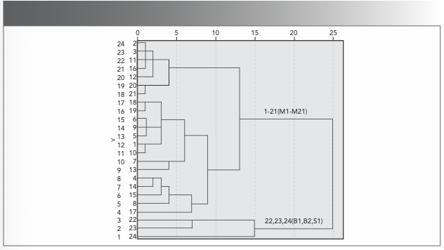 FIGURE 3: Dendrogram obtained using average linkage between groups: 24 samples that have been experimentally tested are roughly divided into two categories: M1–M21 belong to one class, and B1, B2, and S1 belong to the other class.