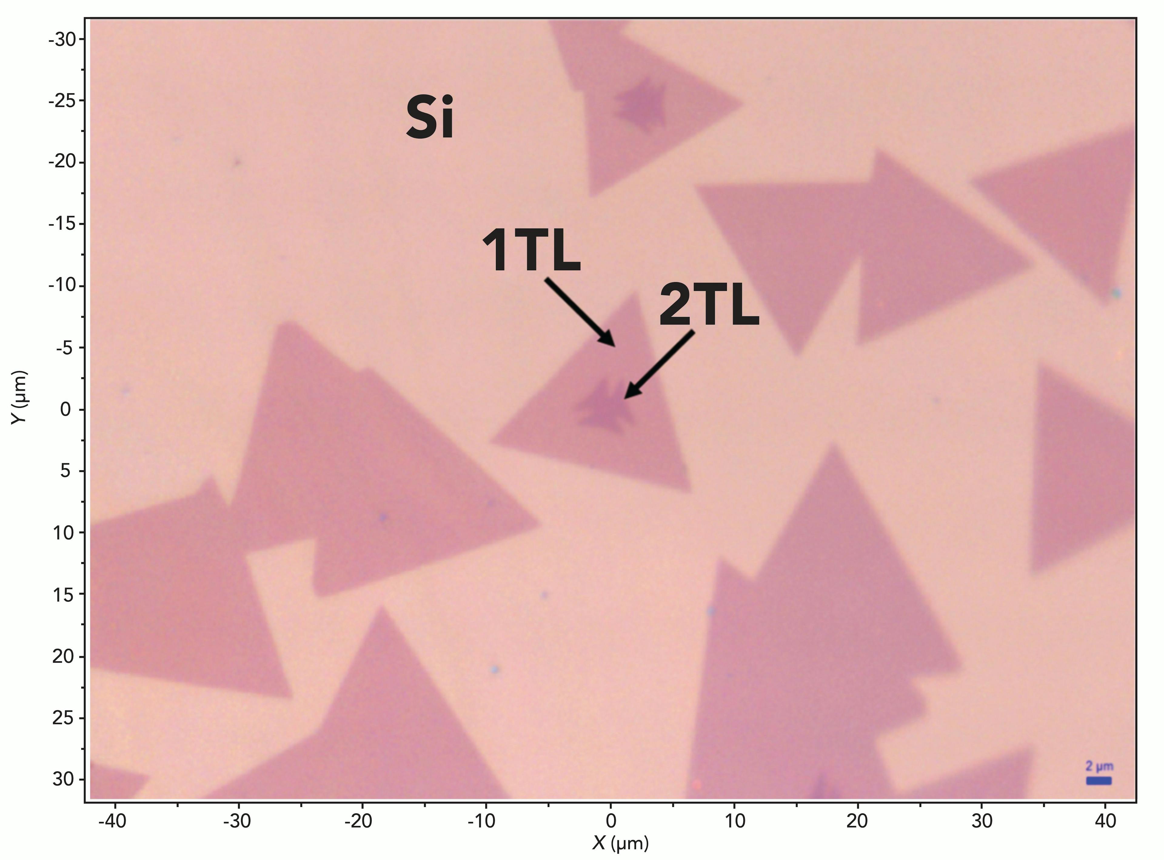 Figure 1: Reflected white light image of MoS2 with single (1TL) and double (2TL) trilayers prepared by chemical vapor deposition on a Si substrate.