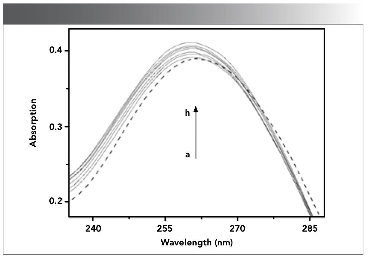 FIGURE 1: UV-visible spectra of DNA (5.45 × 10-5 mol/L) in the absence and presence of CHR in Tris-HCl buffer solution (pH 7.40) at room temperature. a–h: [CHR]= 0, 1.08, 2.16, 3.23, 4.29, 5.34, 6.39, and 7.43 × 10-6 mol/L.
