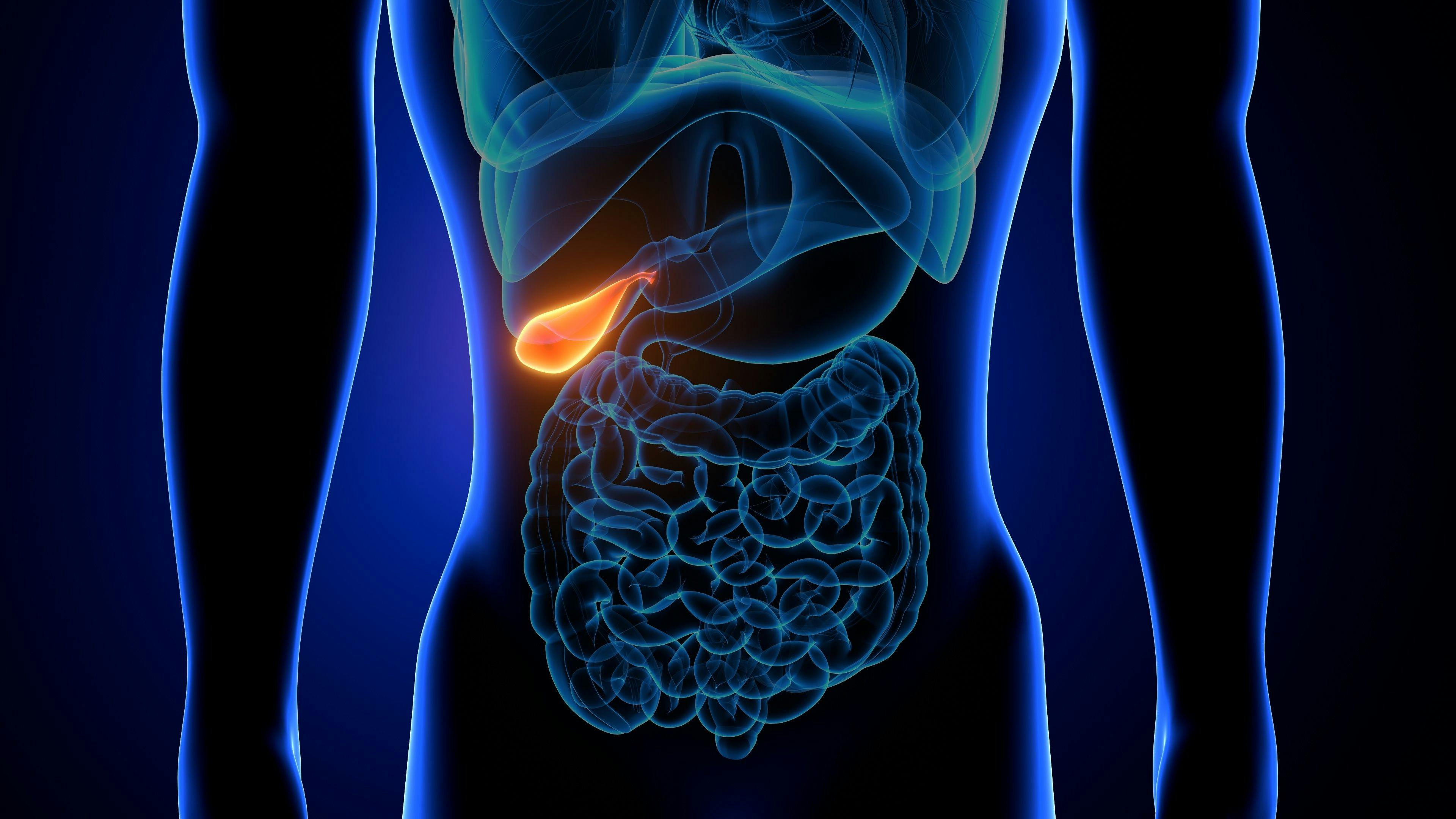 3d illustration of human internal organ gallbladder anatomy | Image Credit: © microscience - stock.adobe.com