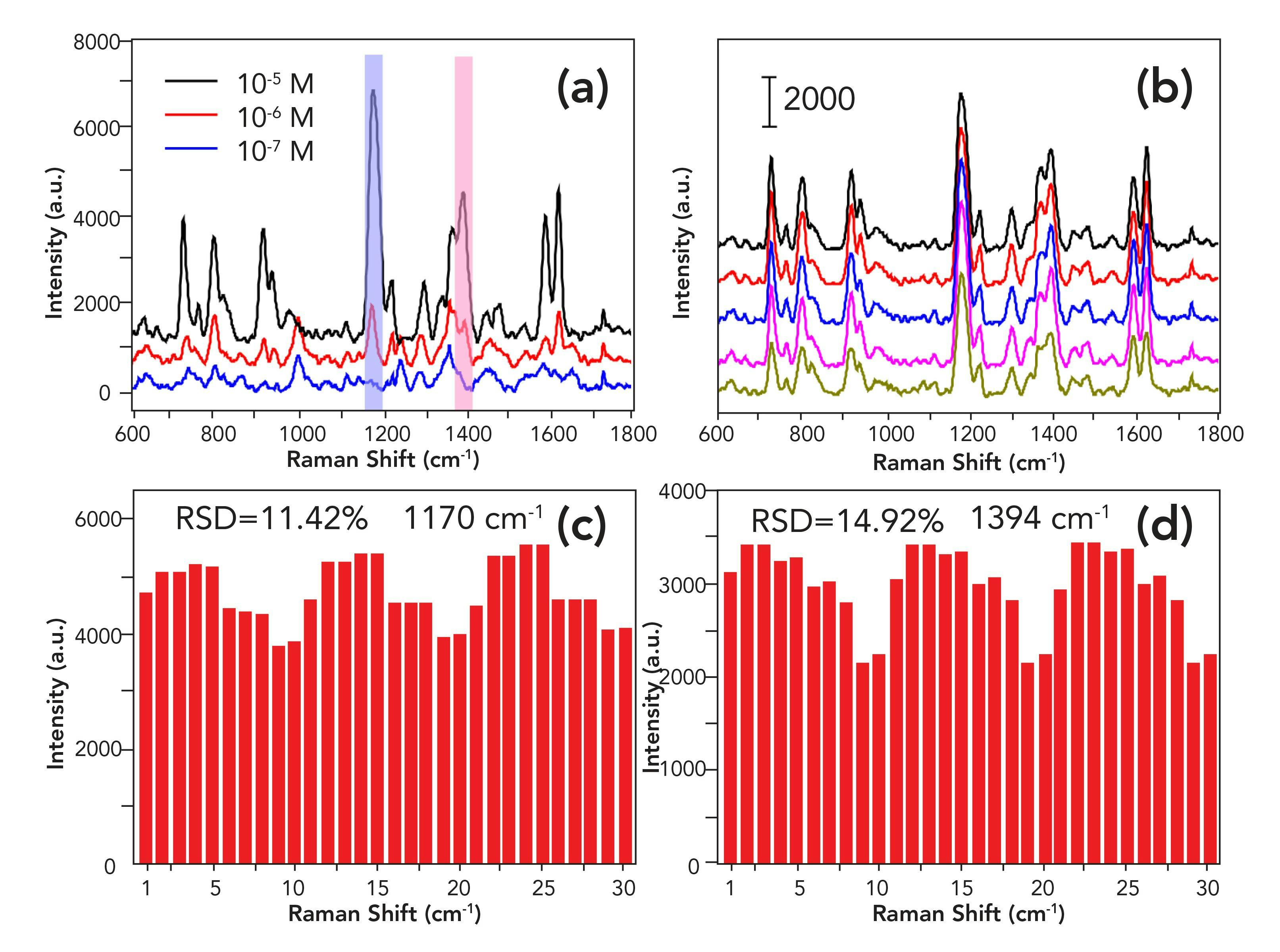 FIGURE S1: Detection of MG standard solution using E1 gold nanoparticles as a substrate. (a) SERS spectra of different MG concentrations. (b) SERS spectra of 10−5 M for MG from five independent SERS measurements. (c) and (d) show the intensities of MG solution (at 10−5 M) in the 30 spots SERS line-scan spectra collected on the substrate at 1170 cm-1, and 1394 cm-1, respectively.