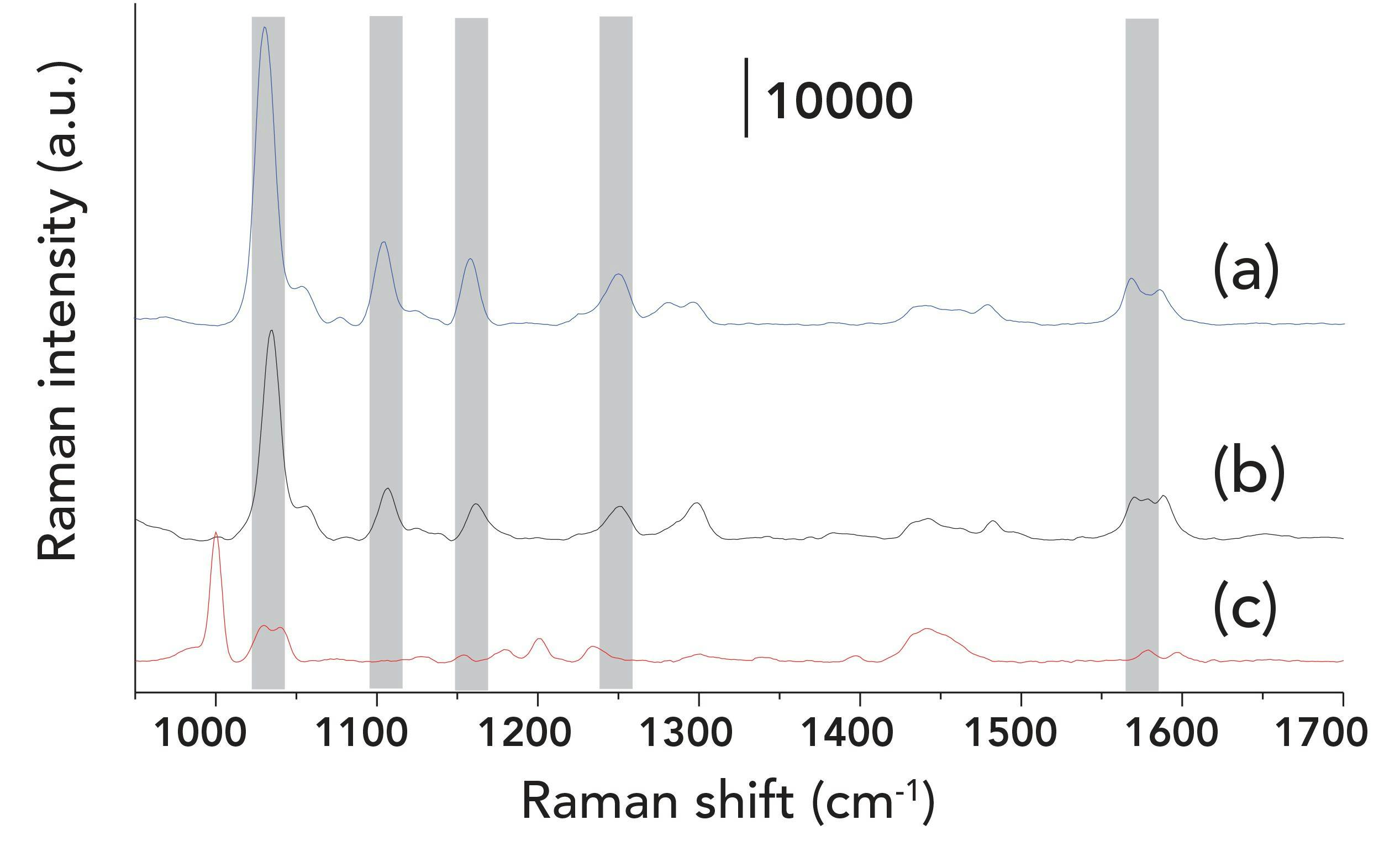 FIGURE 3: SERS spectra of (a) promethazine 10 ppm (3.5 x 10-5 M); (b) mixture at concentration ratio of 1:1 (1.5 x 10-5 M); (c) scopolamine 6 ppm (2 x 10-5 M).