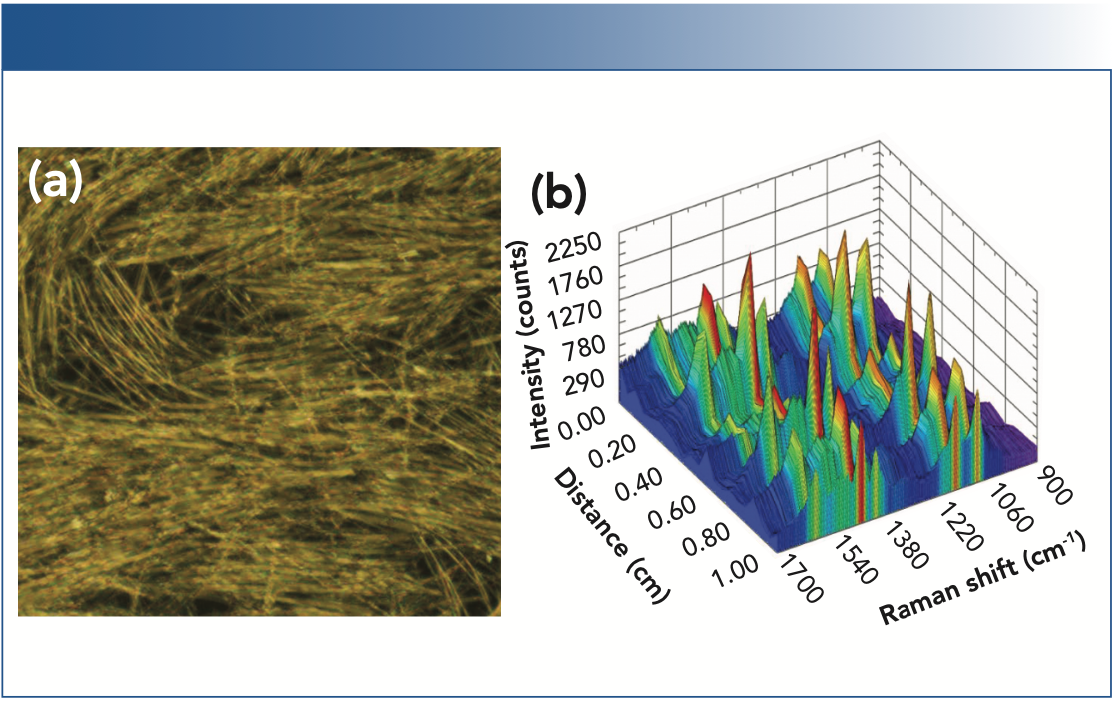 FIGURE 2: (a) A microscope image of a typical nanowire substrate (NWS) produced by Mayer rod coating, showing both linear regions and gaps. (b) The SERS spectra acquired on the NWS over a spatial distance of 1 cm.