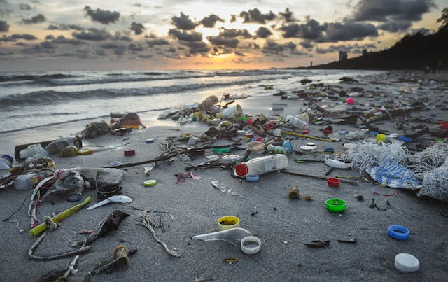 Dirty beach environment from plastic garbage. | Image Credit: © NPD Stock - stock.adobe.com.