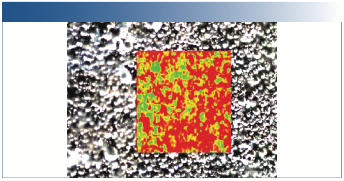 FIGURE 6: Image of the cycled cathode overlay with Raman chemical image. The entire picture (visible image) is approximately 100 μm x 100 μm, and the Raman image (overlay image) is approximately 50 μm x 50 μm in spatial dimensions.