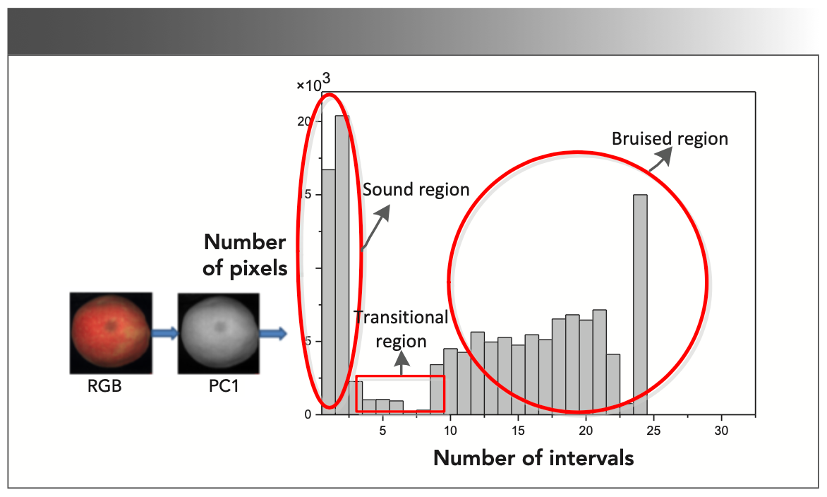 FIGURE 9: Gray histogram statistical feature extraction process.