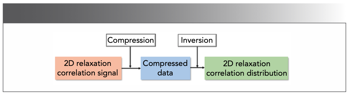 FIGURE 10: The processing scheme of 2D relaxation correlation data (47,49).