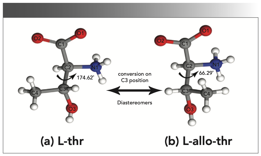 FIGURE 1: The molecular structure of (a) L-thr (a) and (b) L-allo-thr.