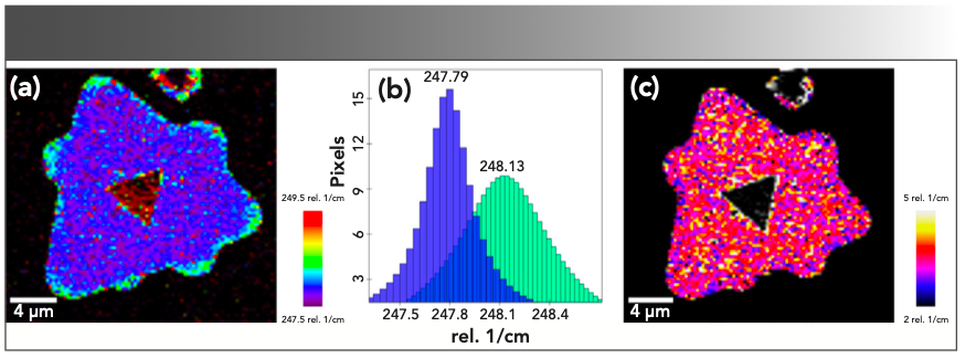 FIGURE 4: Raman analysis. (a) Map of fitted Raman band around 248 cm-1 showing peak shifts at the rounded edges of the crystal. (b) Histograms of the Raman band positions acquired from the monolayer without the edges and from only the edges. (c) The width of the analyzed Raman band does not show significant changes between the monolayer and the edges.
