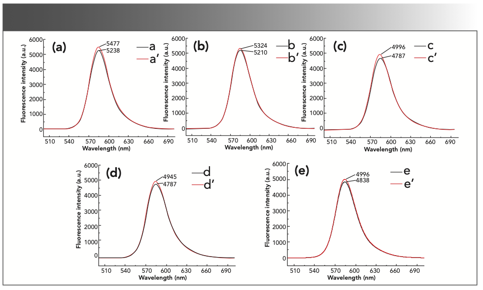 FIGURE 5: The fluorescence intensity of the reaction system in different volumes of the potassium bromate solution. (a) a’: 1 mL 0.10 mol/L potassium bromate solution + 2.5 mL sulfuric acid solution + 0.50 mL 1.00 × 10-3 mol/L rhodamine B; a: a’ + 2.00 mL formaldehyde standard solution. (b) b’: 3 mL 0.10 mol/L potassium bromate solution + 2.5 mL sulfuric acid solution + 0.50 mL 1.00 × 10-3 mol/L rhodamine B; b: b’ + 2.00 mL formaldehyde standard solution. (c) c’: 5 mL 0.10 mol/L potassium bromate solution + 2.5 mL sulfuric acid solution + 0.50 mL 1.00 × 10-3 mol/L rhodamine B; c: c’ + 2.00 mL formaldehyde standard solution. (d) d’: 7 mL 0.10 mol/L potassium bromate solution + 2.5 mL sulfuric acid solution + 0.50 mL 1.00 × 10-3 mol/L rhodamine B; d: d’ + 2.00 mL formaldehyde standard solution. (e) e’: 9 mL 0.10 mol/L potassium bromate solution + 2.5 mL sulfuric acid solution + 0.50 mL 1.00 × 10-3 mol/L Rhodamine B; e: e’ + 2.00 mL formaldehyde standard solution.