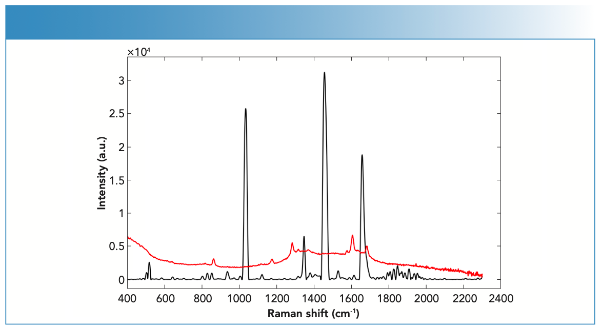 FIGURE 2: Raman spectra of fingernails spiked with BEN powder (black) and BEN liquid (red) forms measured using the handheld Raman spectrometer equipped with 785-nm laser wavelength.