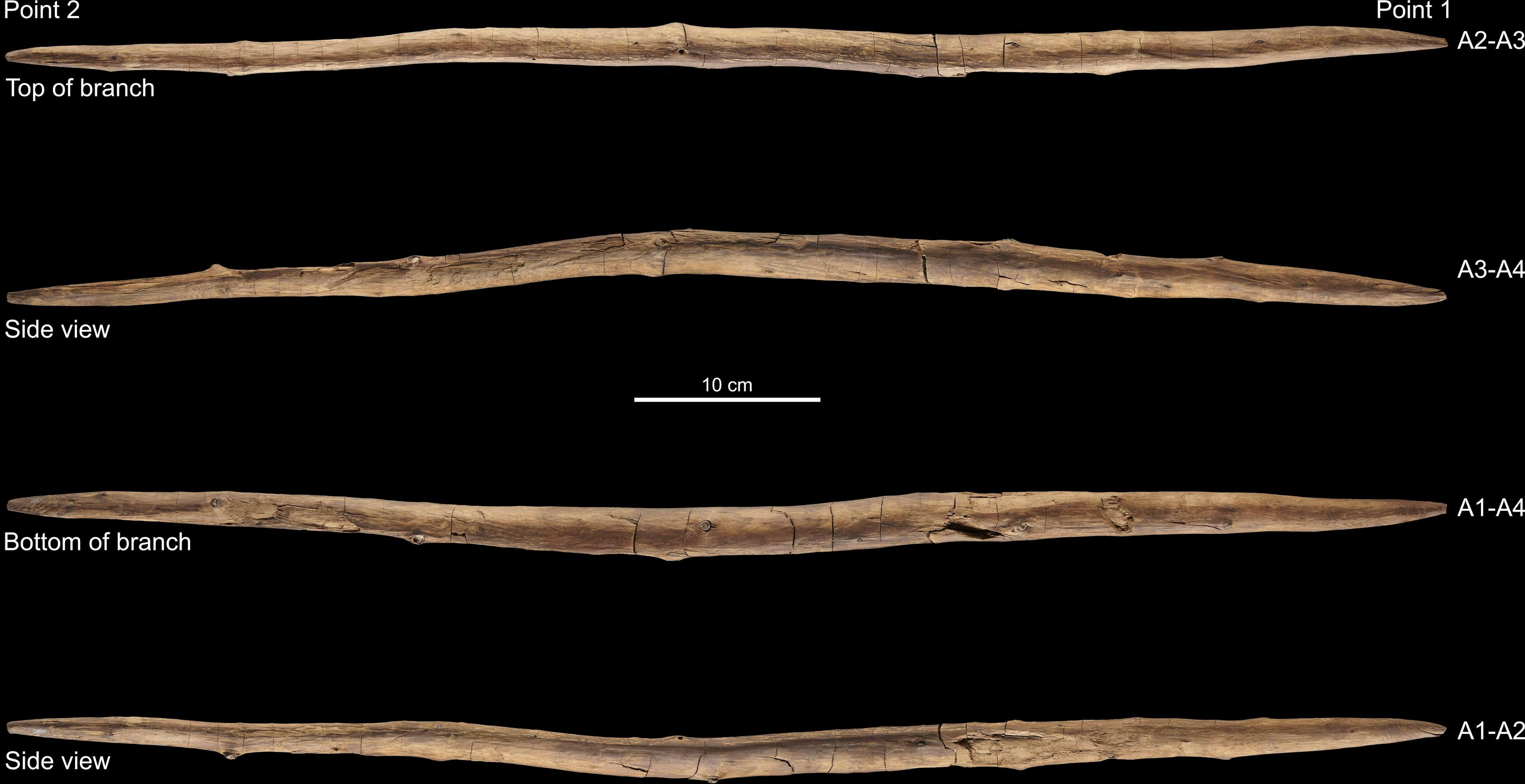 Overview photo of the double-pointed stick. | Image Credit: © Volker Minkus - CC BY 4.0