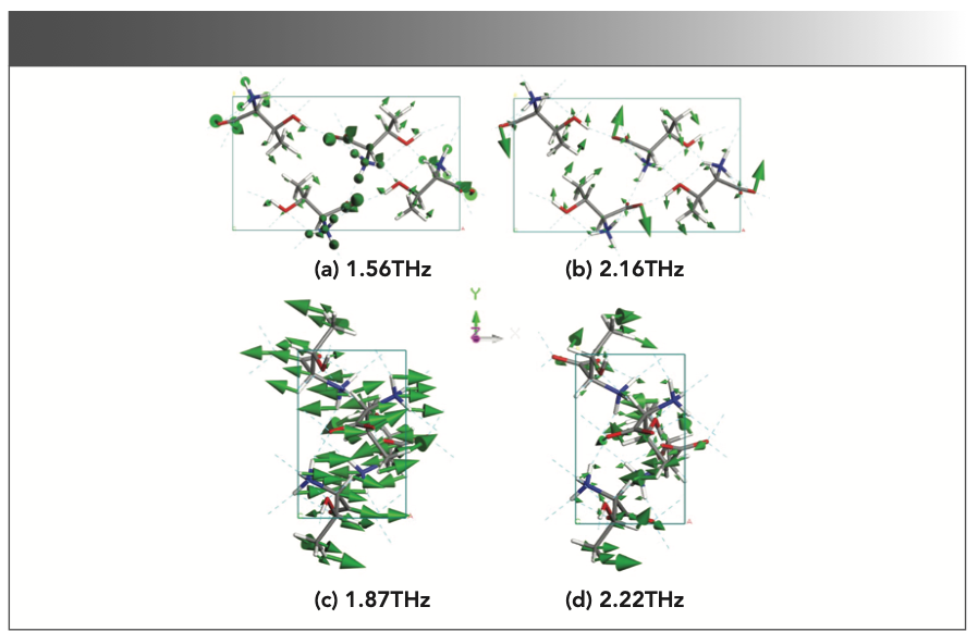 FIGURE 5: The vibration modes of the crystal structure calculated by L-thr at (a) 1.56 THz and (b) 2.16 THz, and L-allo-thr at (c) 1.87 THz and (d) 2.22 THz, respectively.