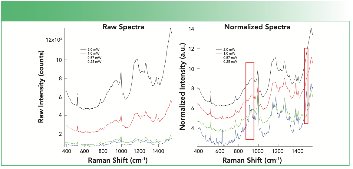 FIGURE 2: The SERS spectra from a protein deposited onto the SERS substrate as a function of increasing laser power is shown. The observed signals recorded at each power are shown as different colors. (a) Raw spectral are shown, and (b) the SERS signals are normalized to the height of the spontaneous Raman silicon band at 520 cm-1 (designated by *) that arises from the substrate. The normalized spectra are offset for clarity. The red boxes highlight Raman bands that disappear at higher laser power.