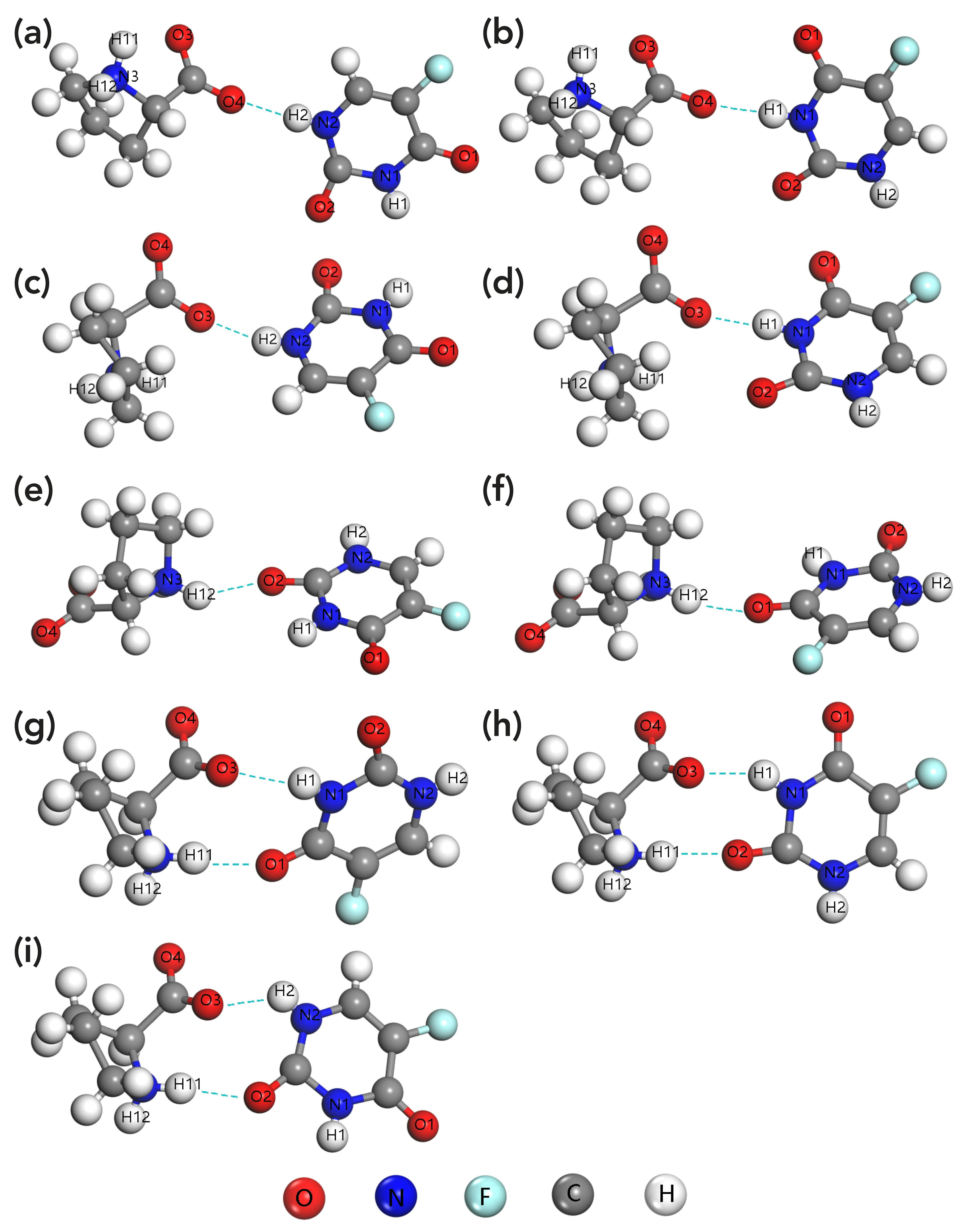 FIGURE 5: The hydrogen bonding mode of theoretical configuration (a) 1, (b) 2, (c) 3, (d) 4, (e) 5, (f) 6, (g) 7, (h) 8, (i) 9. The color code for atoms is given in the figure.