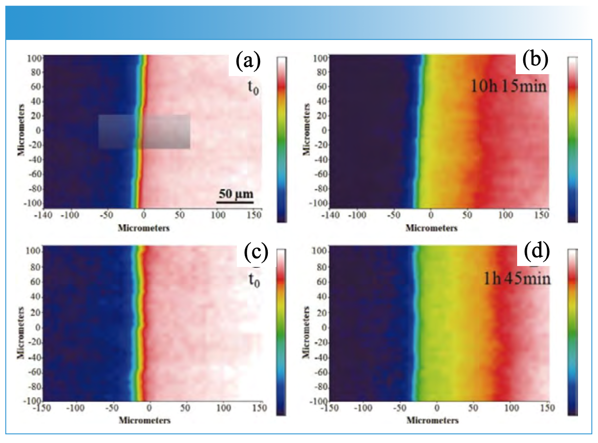 FIGURE 2: NIR images based on the integrated 4875 cm-1 absorbance for (a) the deuteration times t0 and (b) 10 h 15 min at 25 °C, (c) t0 and 9d) 1 h 45 min at 50 °C. Reproduced from reference (6) with permission.