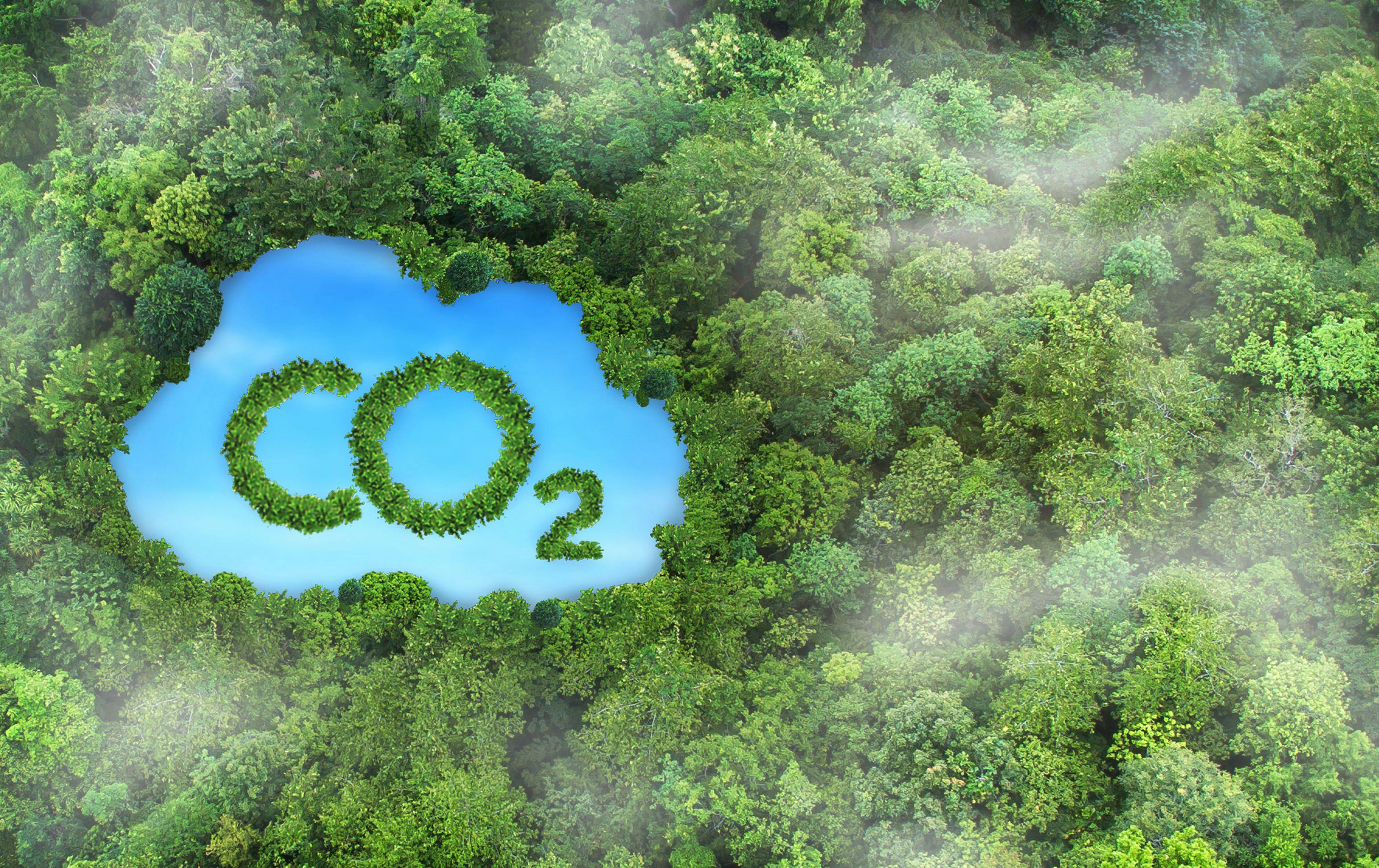 Concept depicting the issue of carbon dioxide emissions and its impact on nature in the form of a pond in the shape of a co2 symbol located in a lush forest | Image Credit: © Gan - stock.adobe.com