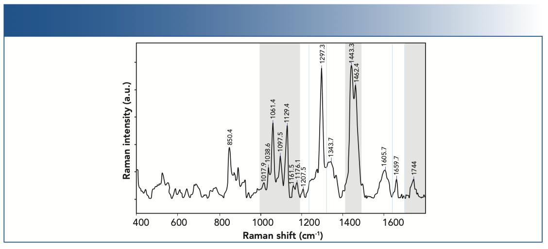 FIGURE 4: Raman spectrum of chocolate sample showing the major band positions.