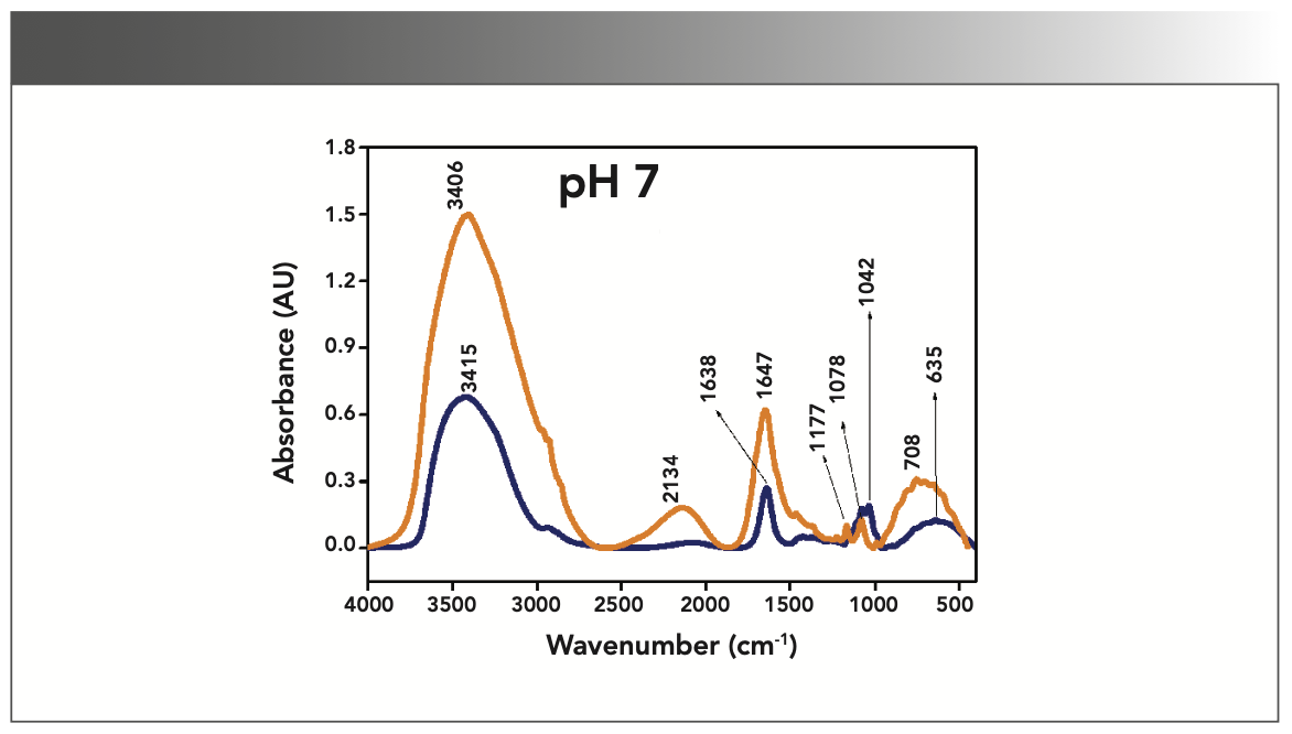 FIGURE 3: Primary spectra for pH 7: Buffer+SUC+OVA (blue), Buffer+OVA (orange).