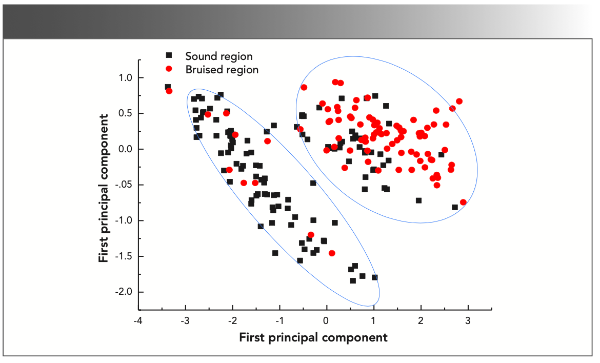 FIGURE 7: Scatter plot of bruised and Soung honey peach classification.