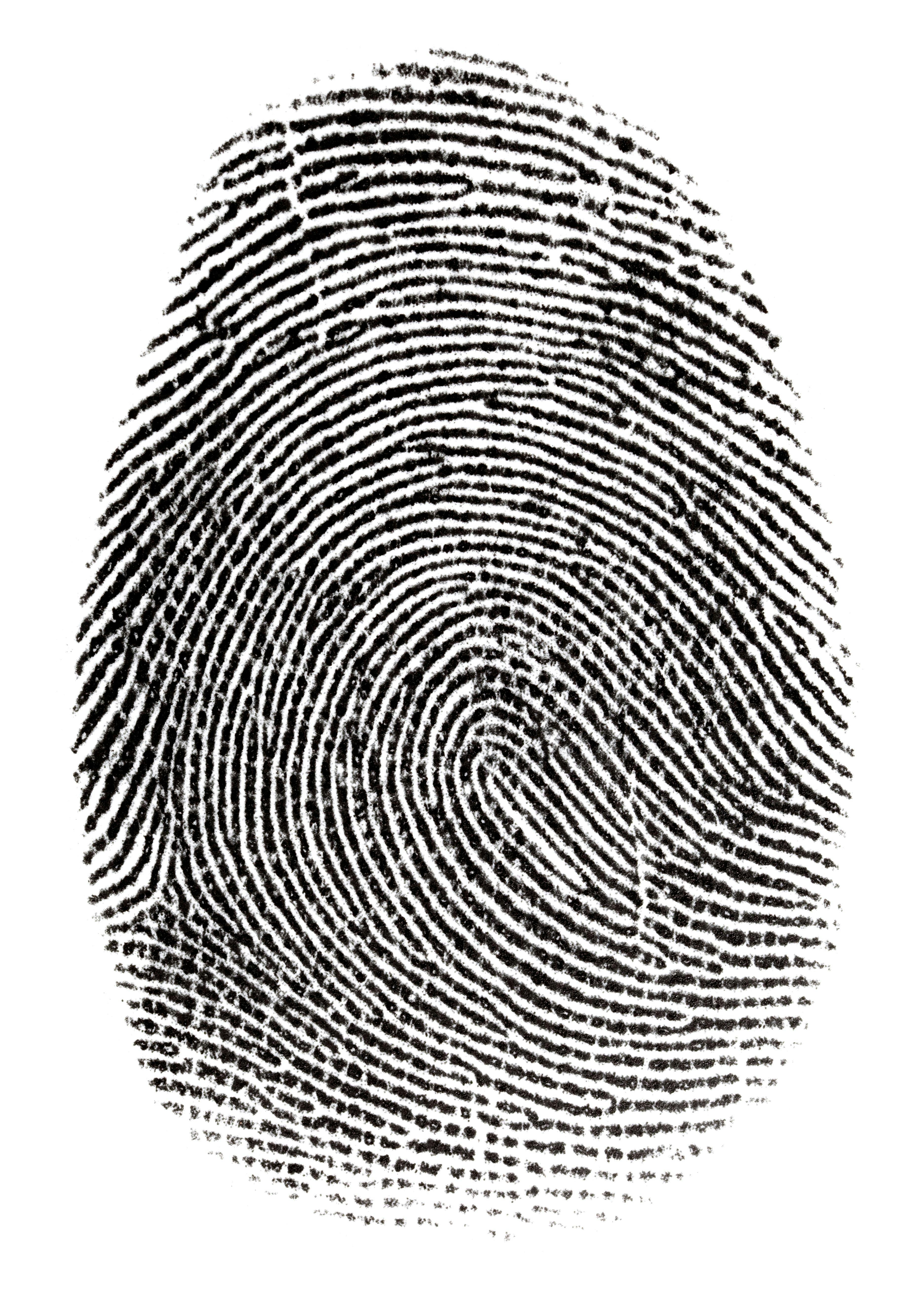 Real fingerprint in white background Super macro | Image Credit: © Andrey Burmakin - stock.adobe.com