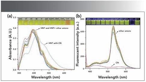 FIGURE 1: (a) Absorbance luminosity change spectrum of various anions added to sensor HNT solution (2.0 × 10-5 M). Inset: Photographs of other anions and CN− color changes added to HNT solution under visible light. (b) The fluorescence intensity change spectrum of various anions added to sensor HNT solution (2.0 × 10-5 M). Inset: Photographs of other anions and CN− color changes added to HNT solution under 365 nm light.