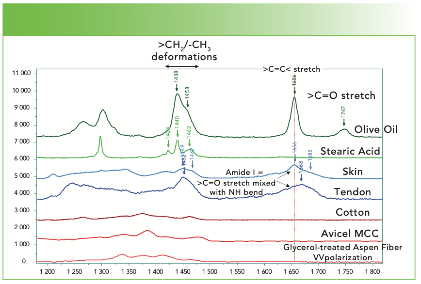 FIGURE 5b: Raman spectra (from top to bottom) of olive oil, stearic acid, skin, tendon, cotton, avicel microcrystalline cellulose, and a glycerol treated aspen wood fiber in part of the fingerprint region where classification is also possible. Abscissa is Raman shift (cm-1), and ordinate is intensity.