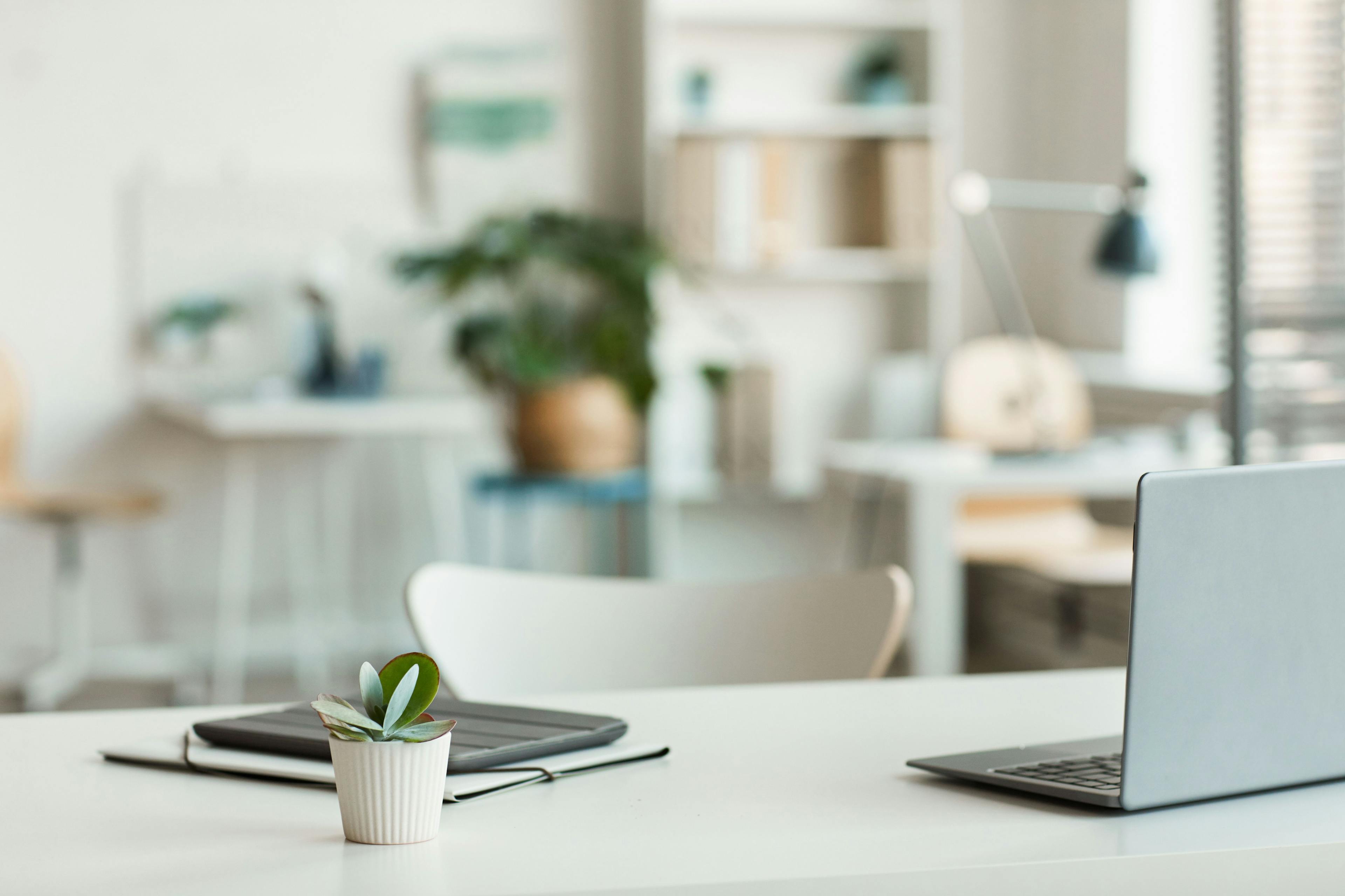 Minimal background image of inviting empty workplace with white desk and succulent plant in foreground, copy space | Image Credit: © Seventyfour - stock.adobe.com.