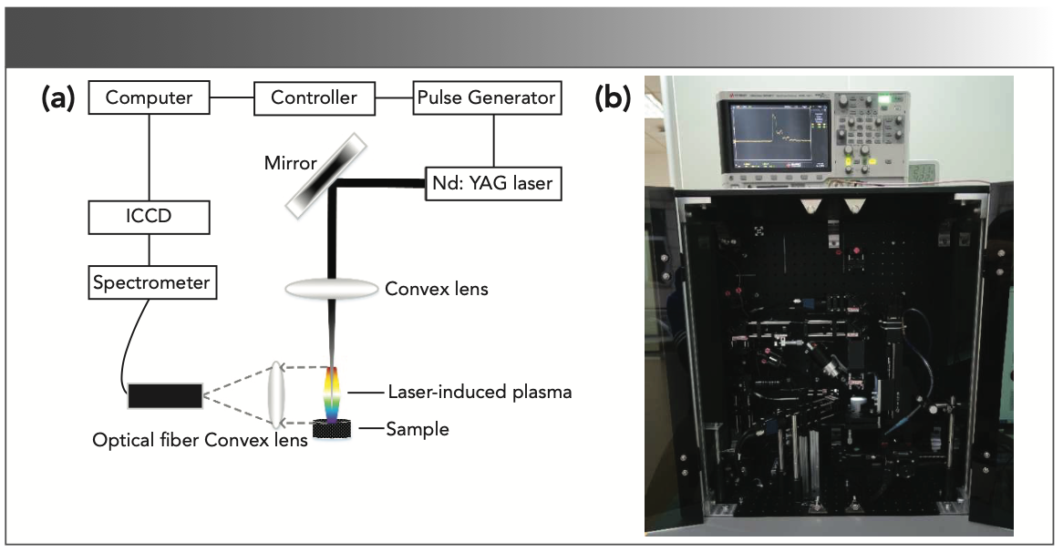 FIGURE 2: LIBS system construction: (a) Schematic of the LIBS system; and (b) integrated experimental instrument platform.