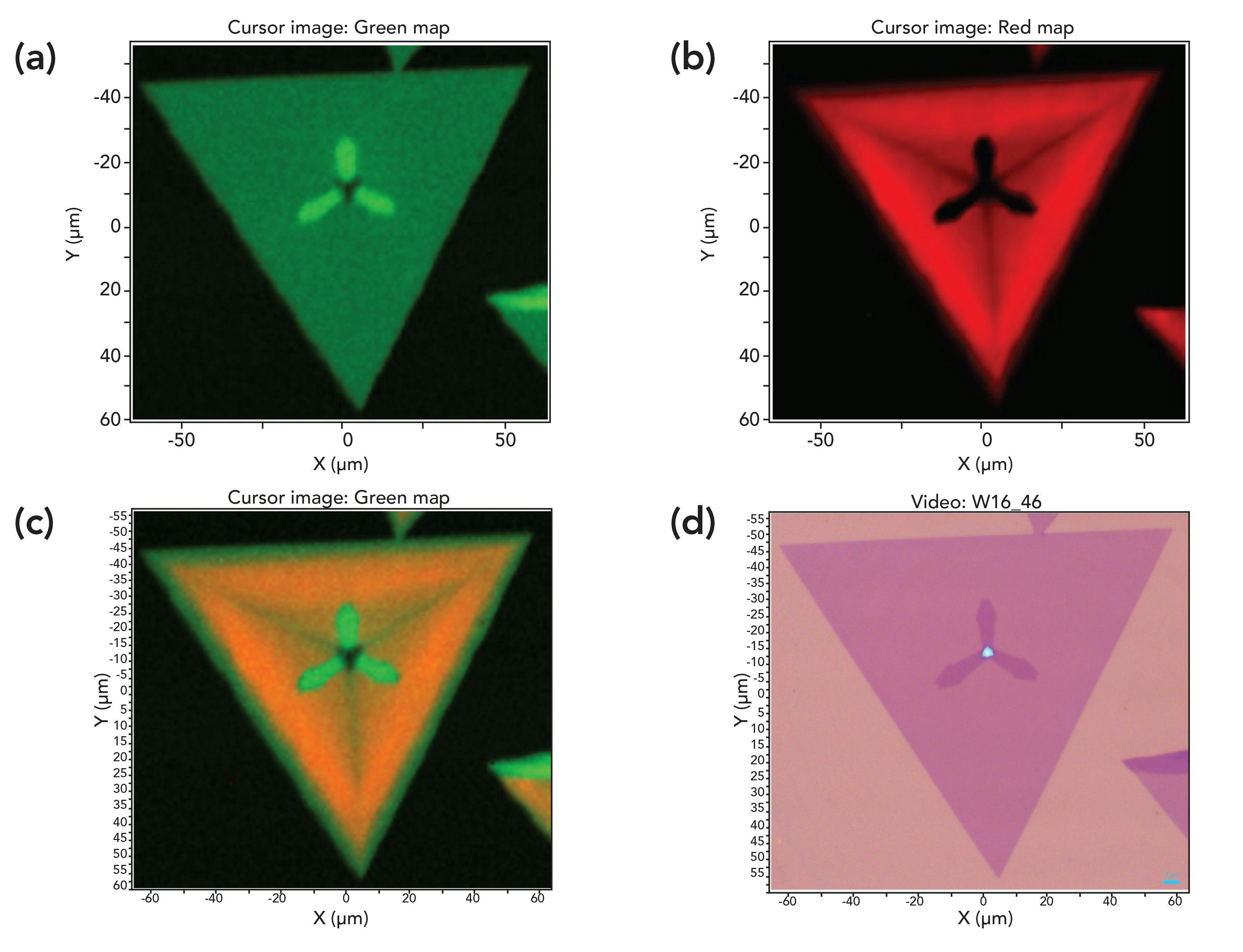 FIGURE 2: Spectral and reflected white light imaging of WS2: (a) Raman, (b) photoluminescence, (c) combinative Raman and photoluminescence, and (d) reflected white light image.